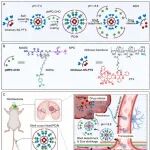 Biomaterials丨北京化工大学喻青松等设计了一种双响应纳米颗粒系统增强血脑屏障跨越和胶质母细胞瘤穿透能力！