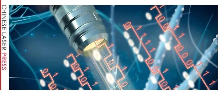 Adv.&#160;Photon. |&#160;低光量，高保真：轴向编码让多光子显微更快更安全