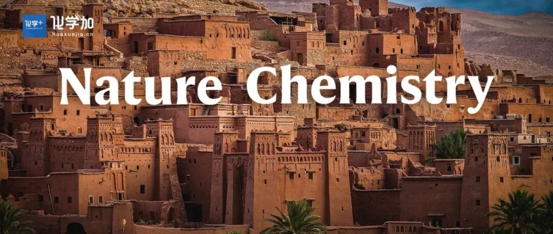 刘文等团队在Nature Chemistry发表成果：假激酶可催化肽分子环化