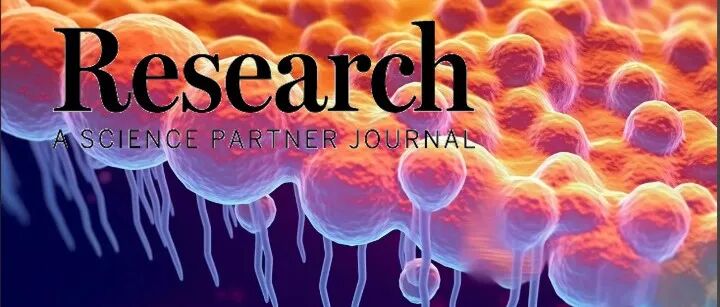 Research|白津、李中伟团队发现PRMT5是调控肾癌细胞铁死亡进程的关键因子