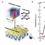 研究进展：清华大学，太赫兹操控材料相变-斯格明子 | Nature Physics