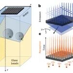 研究进展：无序介质-指纹成像/光场调控与探测 | Nature Physics