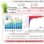 Water Research | 秸秆高值转化中链脂肪酸，研究揭示微生物功能模块化作用机制