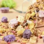 《食品科学》：苑鹏正高级工程师、韩晓峰高级工程师等：食物饱腹感研究及其测试技术进展
