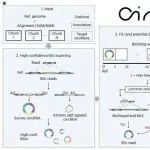 Nat Biotech | 中国科学院动物研究所赵方庆团队提出面向TB级数据的环形RNA高效挖掘算法