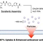 Nano Lett：溶剂导向的索拉非尼自组装球形颗粒用于增强抗癌效果