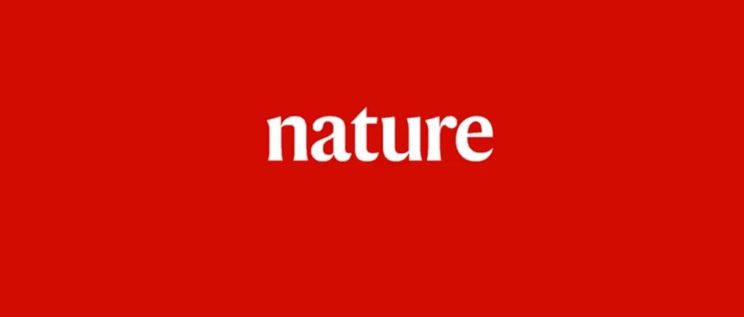 一作兼通讯！高分辨率原位成像，登上Nature Methods！
