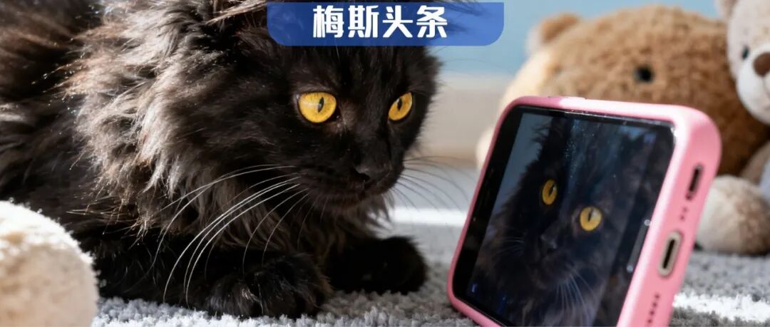 刷手机上头？它正“吃掉”你的大脑！最新研究：3天不刷，就能“改造”大脑，奖赏系统更活跃，视觉系统变弱，让人更轻松好眠