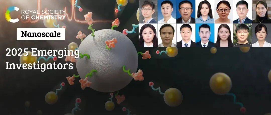 祝贺 2025 Nanoscale 新锐科学家专辑入选作者 (5)