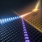 上海交通大学信息材料团队：实现片上高压缩光信号路由 | Nature Photonics