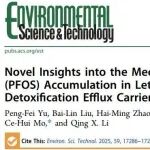 暨南大学莫测辉团队向垒等ES&T：解毒外排载体基因在生菜吸收积累PFOS过程中的调控机制