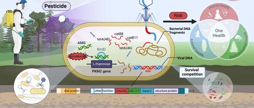 城环所城市土壤生物地球化学过程创新团队《PNAS》最新成果！