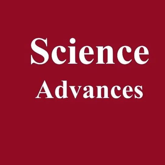 浙大信电董树荣、杨宗银等，Science Advances！