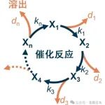 理研构建出预测电极催化剂寿命的数理模型，可用于开发高耐久替代材料