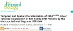 ACS Chem. Biol.|基于大环降解剂BTR2004的CUL3KLHL20介导BET家族BRD蛋白靶向降解的时空特征研究
