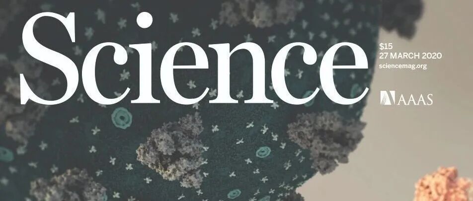 山东大学本科毕业、师从颜宁、施一公，第一作者发表《Science》封面论文，获“优青”，以通讯作者在《Cell》取得突破进展