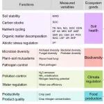New Phytologist | 优化种植制度以缩小农业经济效益与环境健康的差距