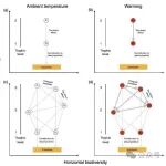 Journal of Ecology∣兰州大学生态学院研究人员揭示高寒草甸增温通过营养级联效应影响分解的海拔变化