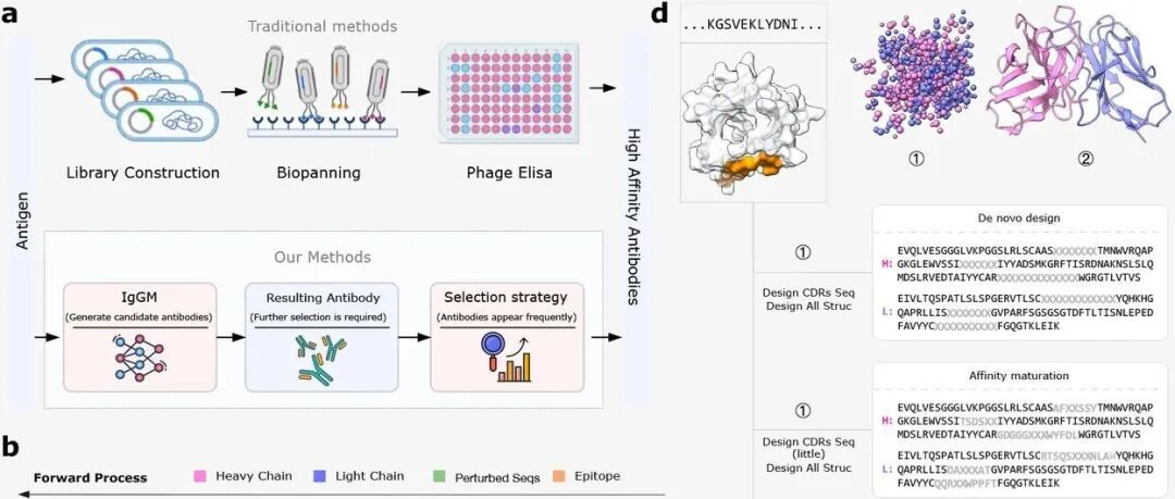 bioRxiv｜腾讯AI Lab姚建华等：用于抗体设计的通用基础模型IgGM