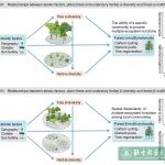 Journal of Ecology | 北京林业大学科研团队在生物多样性-生态系统多功能性关系领域取得新进展