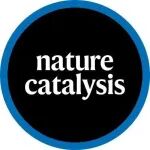 Nat Catal | 从海水“捕碳造物”——高翔/夏川团队打通人工海洋碳循环新路径