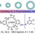 天水师范大学崔雅琴/兰州大学邬金才 JACS：环扩张聚合中温度控制环酯聚酯的分子量