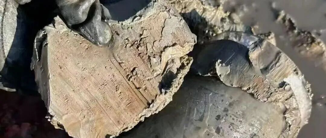 给水排水 |145万立方米烂泥巴如何卖出6100万元？