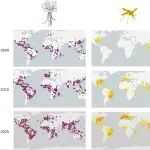Ecology Letters | 双重威胁：水生入侵植物可能促进蚊子繁殖