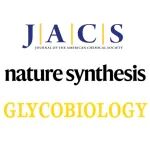 JC|2509|JACS, Nature Synthesis, Glycobiology