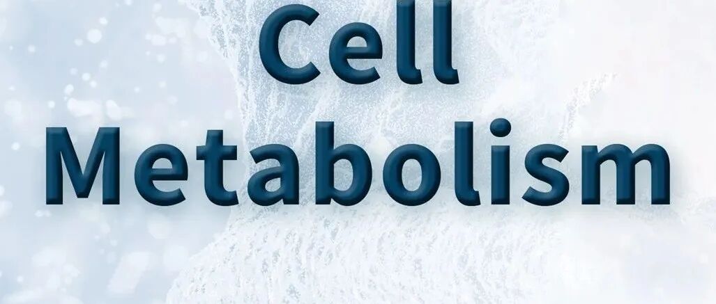 Cell Metab | 赵世民/徐薇/陈兴栋团队合作揭示AMPK响应氨基酸新机制