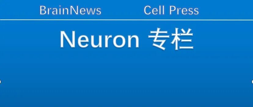 Neuron：假期连吃几天高脂饮食，大脑真的会变“笨”！？