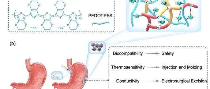 东南大学《AHM》：PEDOT:PSS/F127导电温敏水凝胶革新内镜黏膜下剥离术