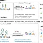 J. Am. Chem. Soc. | 基于光催化C–X键断裂的多肽合成方法学