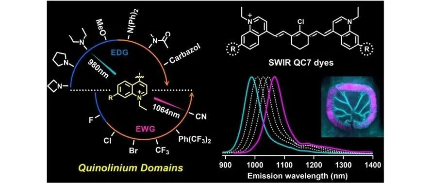 文献分享| JACS：可激发匹配的短波红外喹啉类荧光染料：解码多重生物成像中的时空相互作用