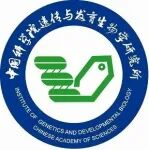 杨维才院士团队在Nature Communications发表研究成果，揭示两种磷脂分子如何协同塑造植物细胞的“隔墙”