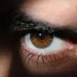 你可以说谎，但你的「瞳孔」不会说谎！两项研究揭秘：瞳孔大小与行为、认知及大脑的时空活动等息息相关，可助力解读神经活动与心理状态