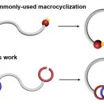【JACS】浙江大学李昊教授团队：具有平面手性和客体识别能力大环分子的精准构筑