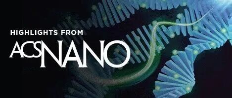 ACS Nano重磅发布 | Chad A. Mirkin领衔112位科学家共探：纳米科学与纳米技术中的33个未解之谜