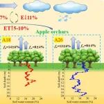 Journal of Hydrology | 西北农林科技大学李志教授团队在黄土高原植被变化对降水再循环方面取得进展