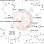 【Angew. Chem.】四川大学董召文：EII/EIVO (E = Ge, Sn)催化一氧化二氮活化和硝基芳烃的选择性还原