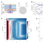 研究前沿：浙江大学，可调强关联人工石墨烯WSe&#8322; | Nature Materials