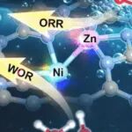 中山大学JACS：Ni–Zn双原子双路径协同高效光合成H2O2