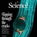 全球野火灾害发生频率及损失显著增加｜Science一周新闻