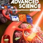 北京科技大学吕昭平课题组Advanced Science：低温退火处理，调控多主元合金原子尺度结构新策略！