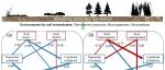 SBB | 成都生物所庞学勇团队在土壤动物功能性状多样性驱动机制方面取得进展