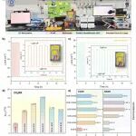 【Angew. Chem.】表界面化学全国重点实验室曾宪海与访问学者王伟俊合作在高效耦合CO&#8322;制备C&#8322;&#8330;产物与醇氧化取得重要进展