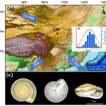 地球环境研究所利用蜗牛壳体氧同位素重建季风边缘带天气尺度降水事件