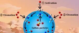 广东工业大学安太成团队JACS：大气气溶胶中硫酸盐促进胺盐臭氧化的机制研究