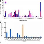 Sci Adv丨浙江大学陈卫教授团队在合成生物学-酶的理性设计与定向进化领域取得重要进展