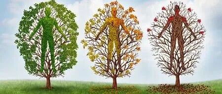 《科学》：同济科学家破解长寿密码！这些“不得癌症”的神奇动物，靠它们抵抗衰老